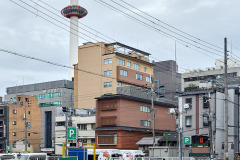Kyoto Urban Jungle