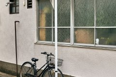 Rested Bike