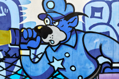 Detective Blue
