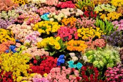 Market Flowers of All Colors