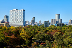 Tower's of Osaka