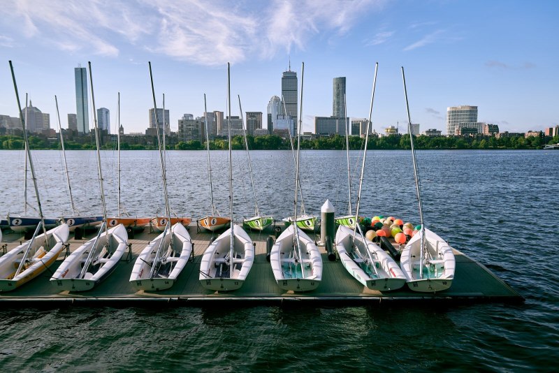 Dockside Dreams