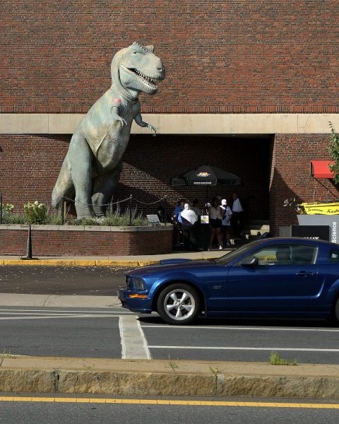 Museum Dino