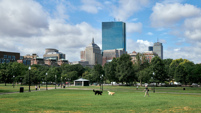 Daily Life - Boston Common