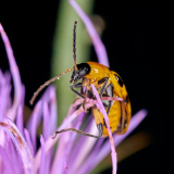 DSC_1037Sep-21-20230