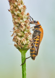 DSC_1634Sep-04-20210