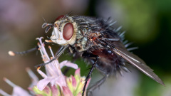 DSC_7435Jul-29-20230