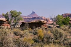 Pinnacle