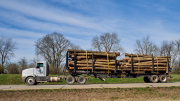 Lumber Haul