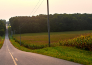 Summer Farm Road