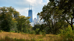 chiSTlou1810139Oct-12-2018