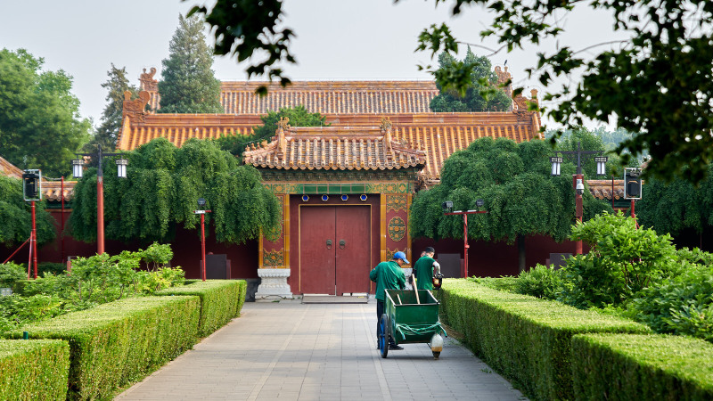 Garden Maintenance 