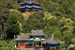 Ornate Dragon Pool