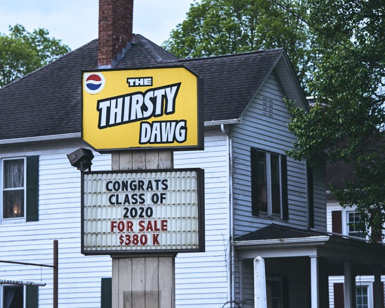 Thirsty Dawg
