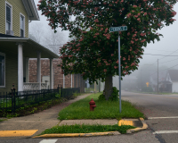 Perkins St