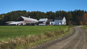 DSC_5299Oct-26-20210