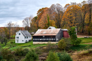 DSC_5788Oct-25-20210