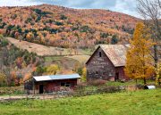 DSC_5840Oct-25-20210