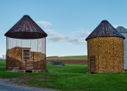 DSC_7093Oct-28-20210