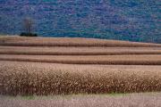 DSC_7538Oct-28-20210