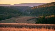 DSC_7612Oct-28-20210