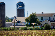 DSC_7731Oct-28-20210