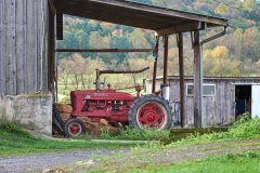 DSC_7241Oct-28-20210