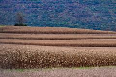 DSC_7538Oct-28-20210