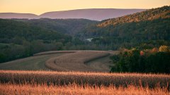 DSC_7612Oct-28-20210