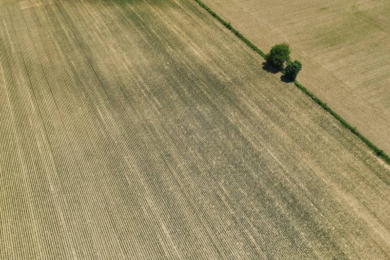 Field Divide