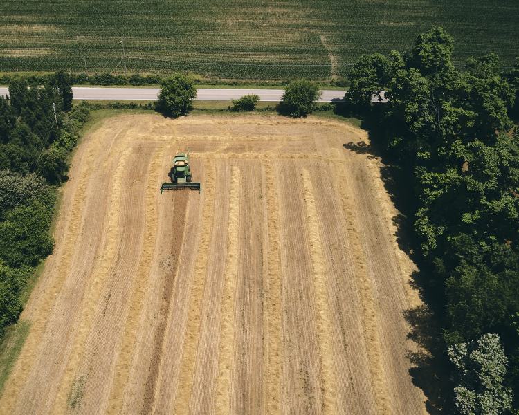 Harvest From Above