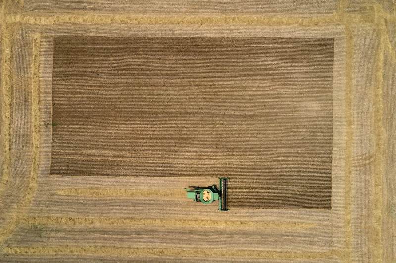 Harvest Time