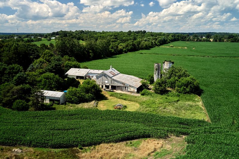 Old Farm