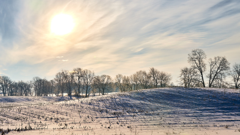Winter Respite