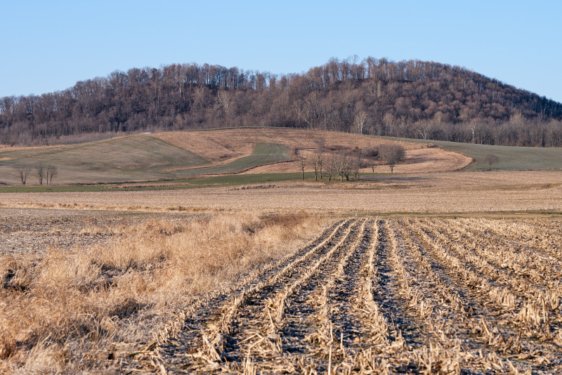 Hillside