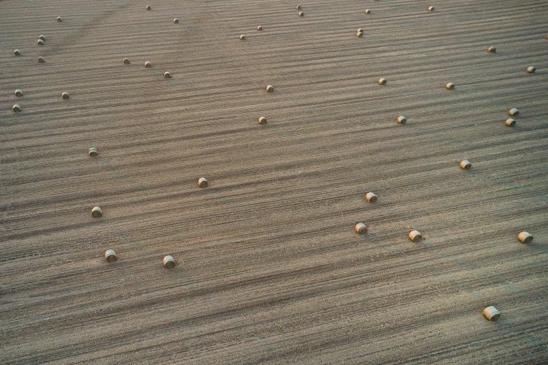 Rolling Bails