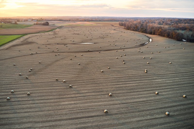Rolled Bales From Above