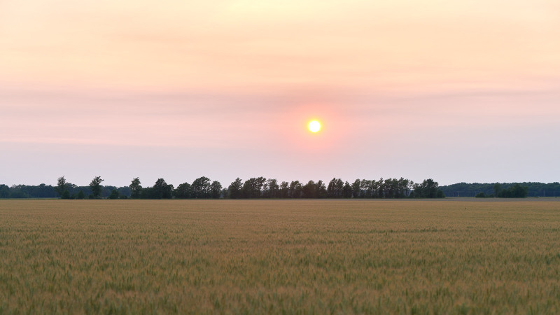 DSC_0175Jun-15-20230