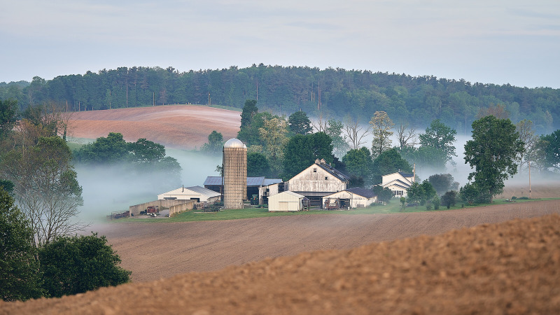 DSC_1532