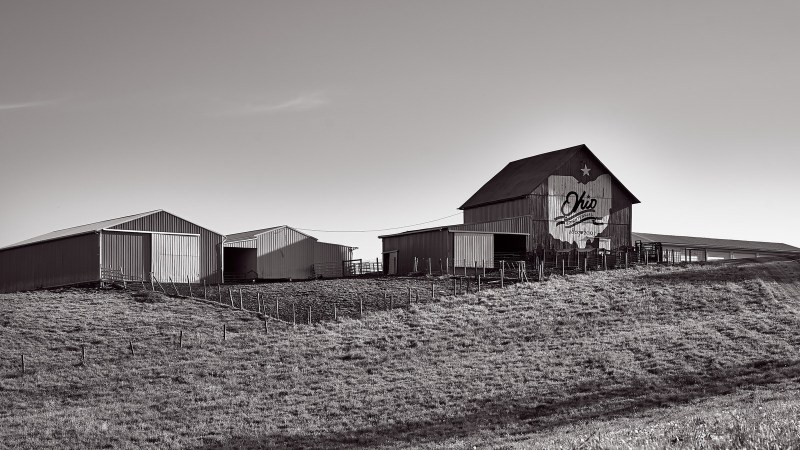 DSC_169715May-02-2020-1