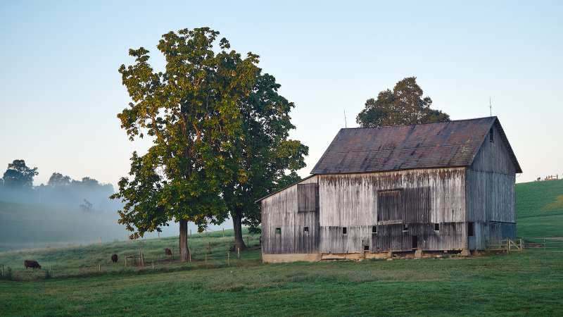 DSC_2776Sep-18-20210