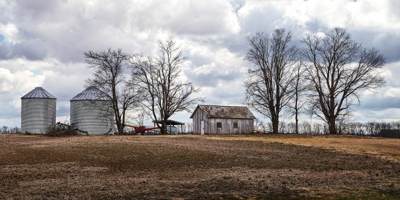 DSC_4931
