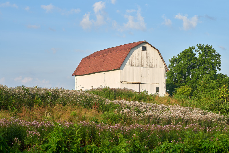 DSC_6122