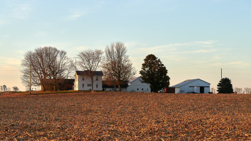DSC_6251Nov-05-20240