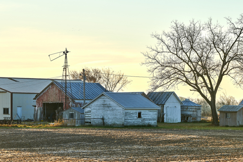 DSC_6311Nov-05-20240