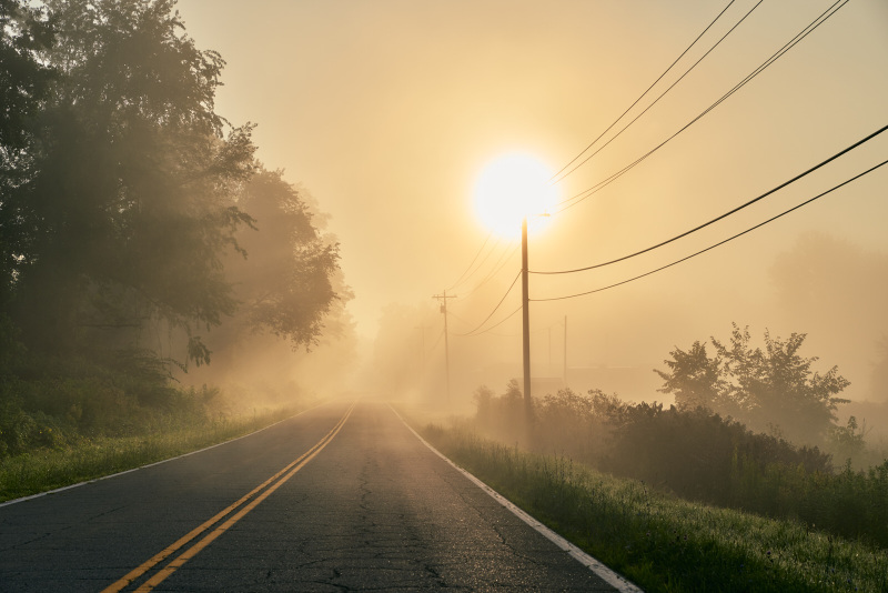 Morning Sun