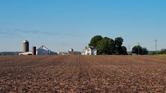 Farmscape Barns & House
