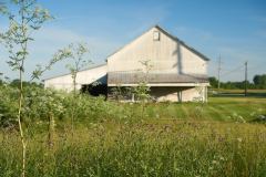 Selective Focus Barn