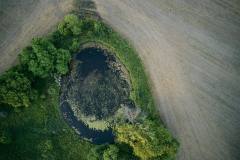 Farm Pond Bird's Eye