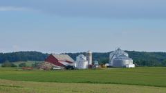 Large Farm